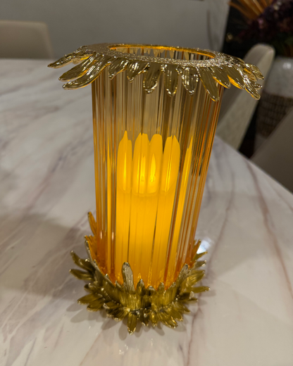 Crown Glow Signature Set